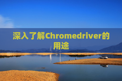 深入了解Chromedriver的用途 深入了解Chromedriver的用途