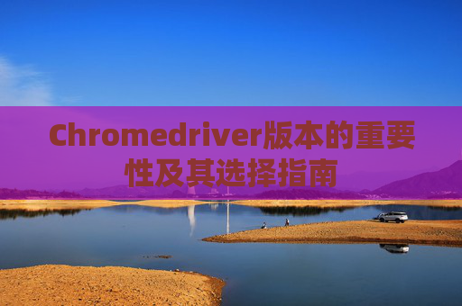Chromedriver版本的重要性及其选择指南